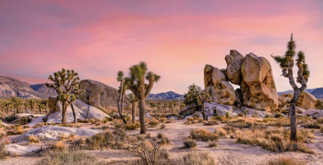 Stone Adventures Crash Pad Rentals